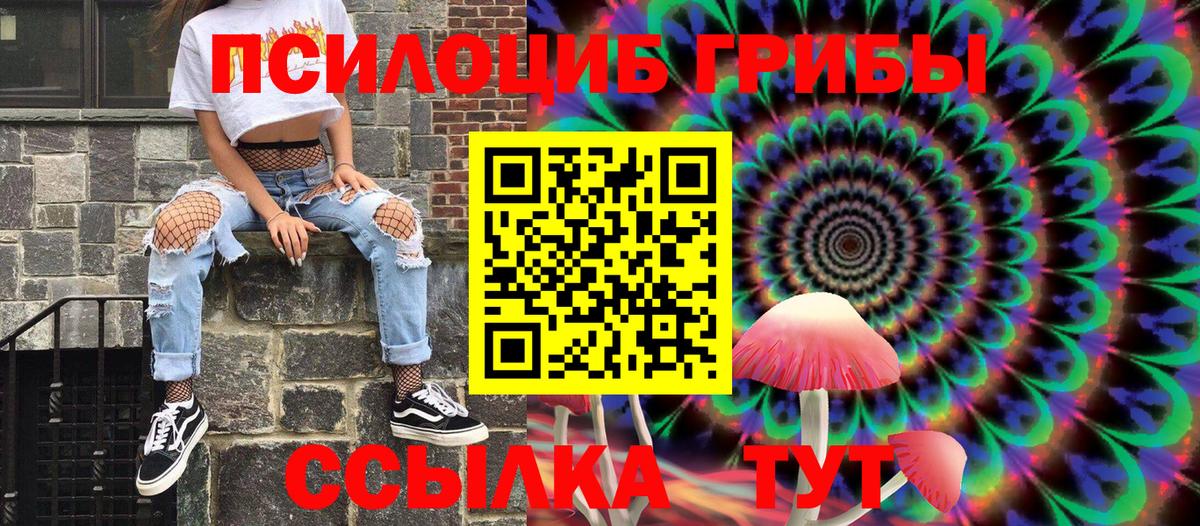 Карабулак  Галлюциногенные грибы ЛСД  Вход с VPN 