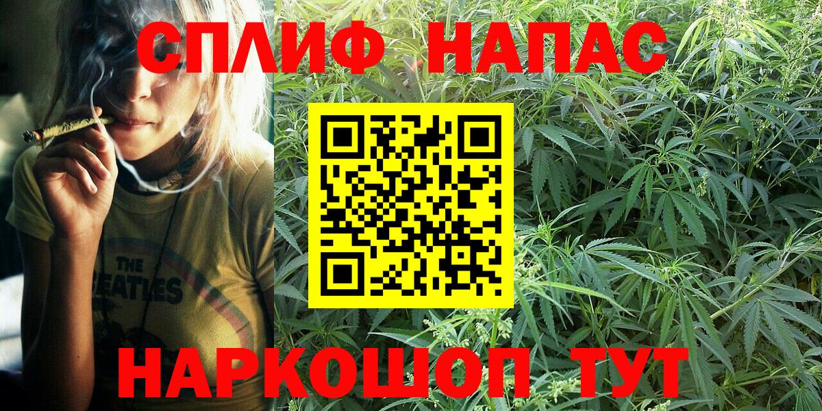 Бошки марихуана план Карабулак